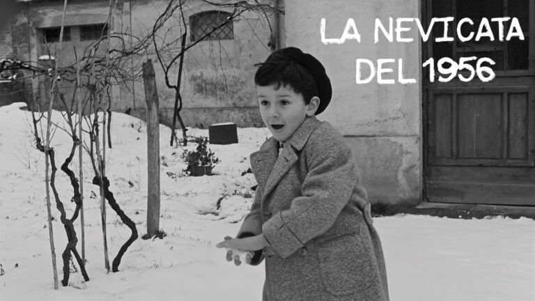 neve 56 bis